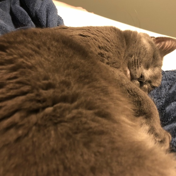 Meet Your Posher! - Picture 2 of 3